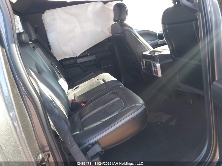 2019 Ford F-150 Platinum VIN: 1FTEW1E47KFB53948 Lot: 12463471