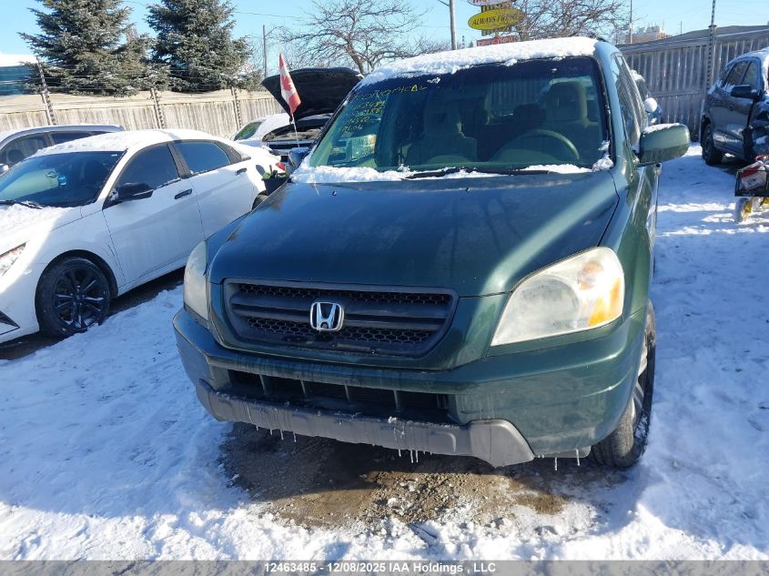 2005 Honda Pilot Ex VIN: 5FNYF18465B028988 Lot: 12463485