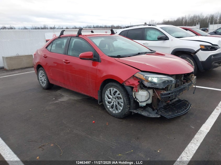 2T1BURHE3KC135726 2019 Toyota Corolla Le auction photo 1