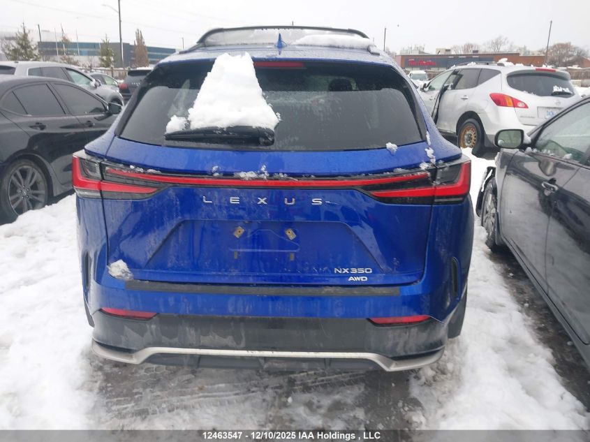 2022 Lexus Nx 350 VIN: 2T2KGCEZ0NC006905 Lot: 12463547