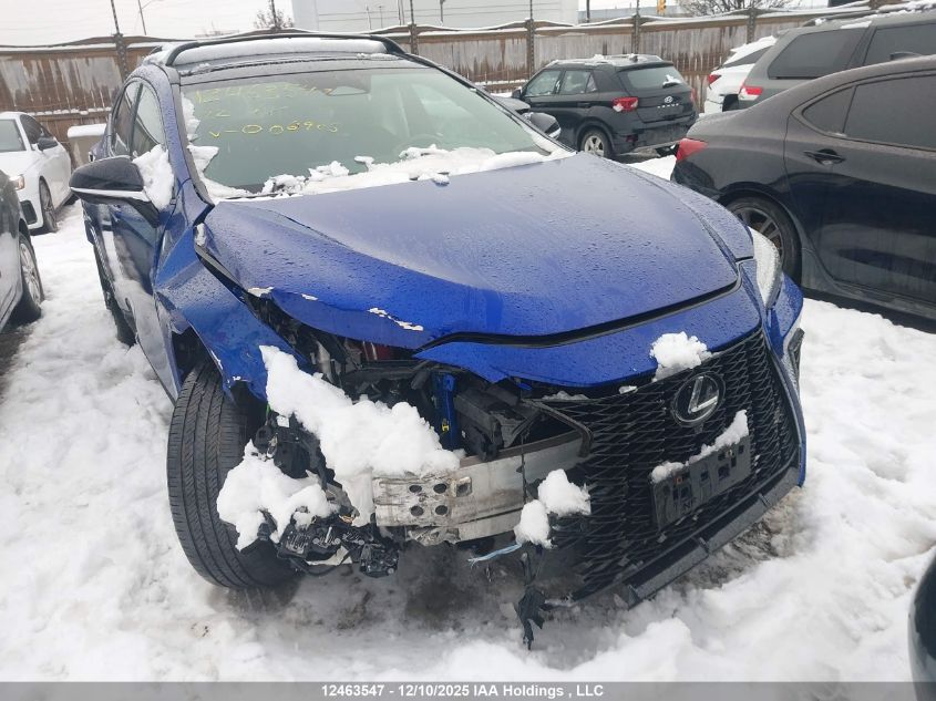 2022 Lexus Nx 350 VIN: 2T2KGCEZ0NC006905 Lot: 12463547