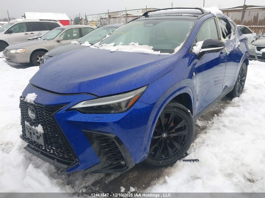 2022 Lexus Nx 350 VIN: 2T2KGCEZ0NC006905 Lot: 12463547