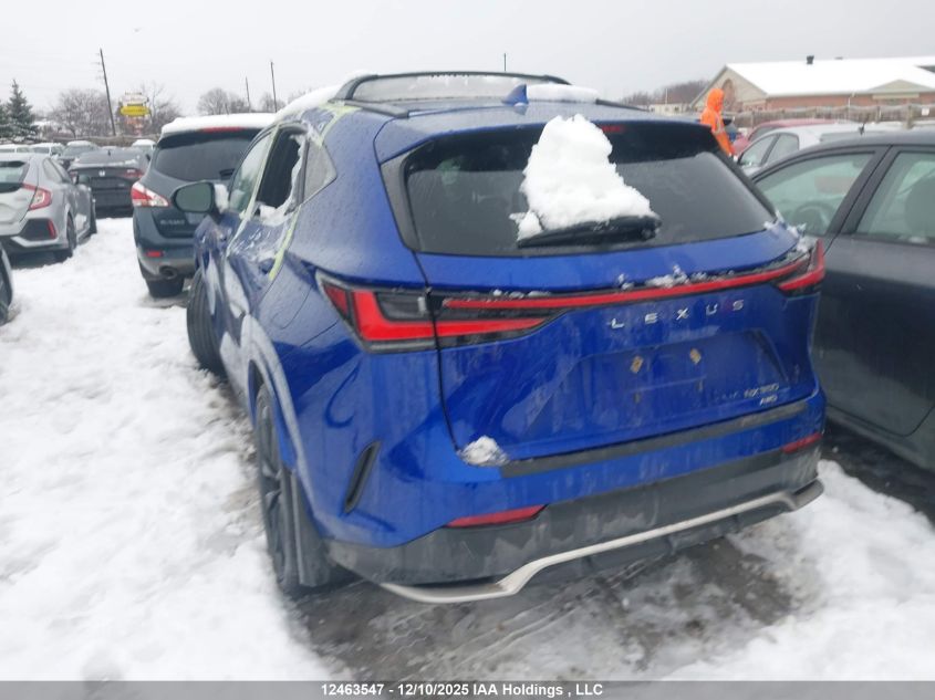 2022 Lexus Nx 350 VIN: 2T2KGCEZ0NC006905 Lot: 12463547