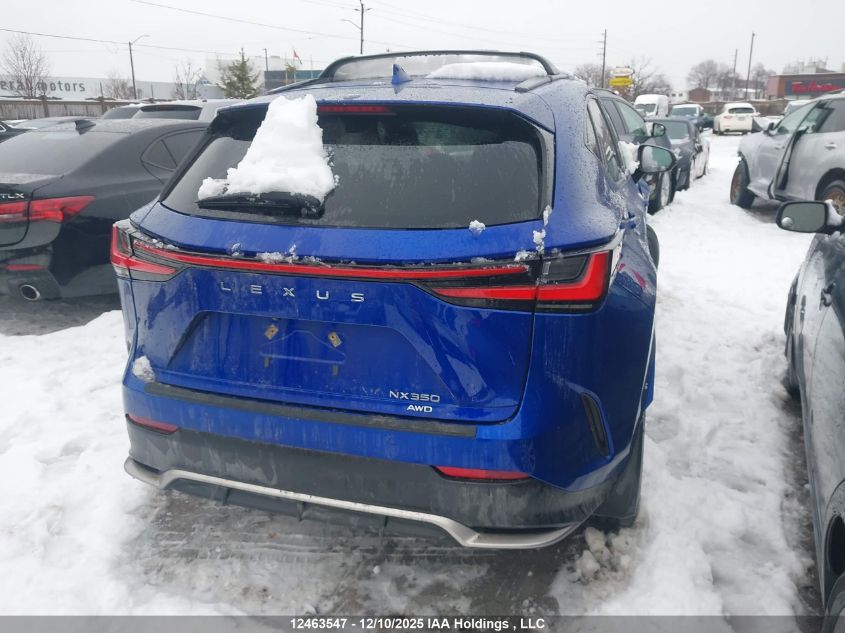 2022 Lexus Nx 350 VIN: 2T2KGCEZ0NC006905 Lot: 12463547