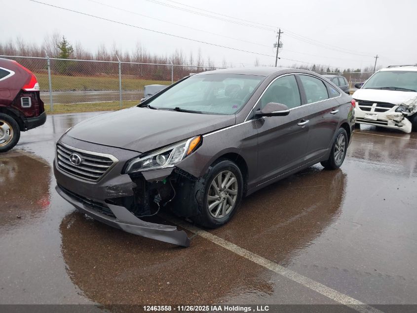 2016 Hyundai Sonata Gls VIN: 5NPE24AF7GH293449 Lot: 12463558