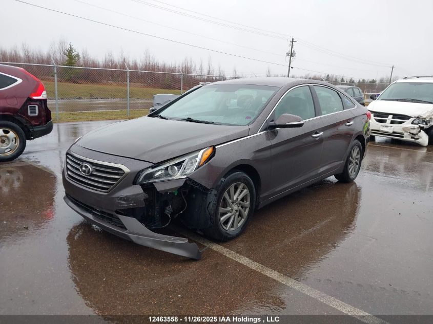 2016 Hyundai Sonata Gls VIN: 5NPE24AF7GH293449 Lot: 12463558