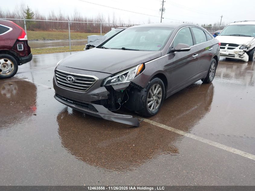 2016 Hyundai Sonata Gls VIN: 5NPE24AF7GH293449 Lot: 12463558
