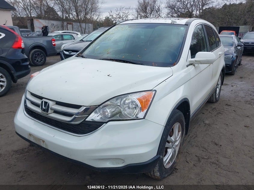 2011 Honda Cr-V Ex VIN: 5J6RE4H59BL822534 Lot: 12463612