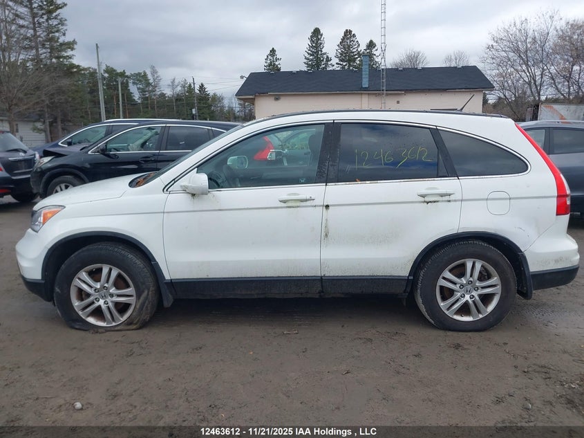 2011 Honda Cr-V Ex VIN: 5J6RE4H59BL822534 Lot: 12463612