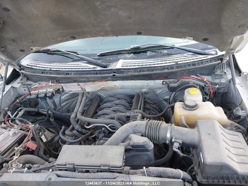 1FTFW1EF4EKF83471 2014 FORD F-150 photo no. 10