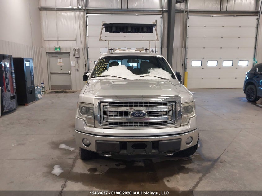 1FTFW1EF4EKF83471 2014 FORD F-150 photo no. 13