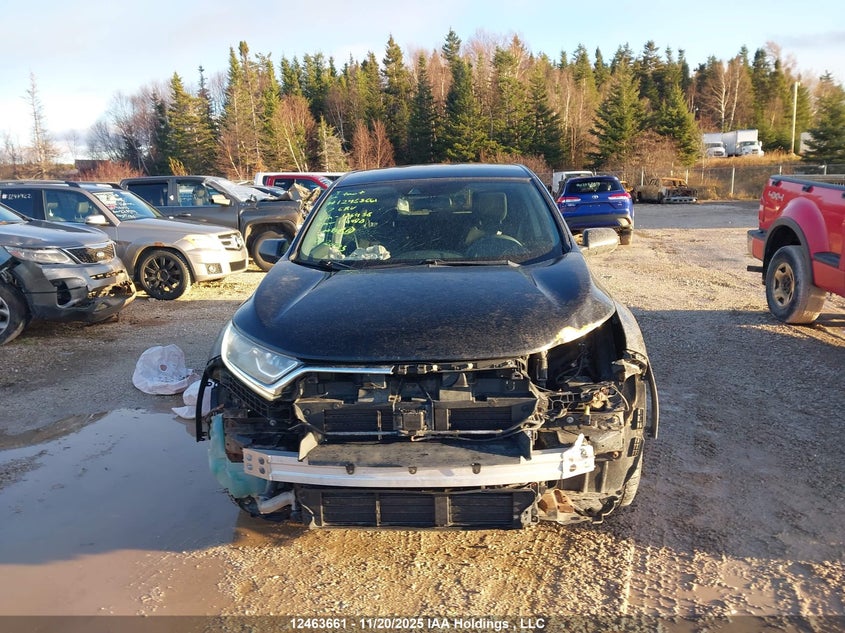 2017 Honda Cr-V Lx VIN: 2HKRW2H29HH136438 Lot: 12463661