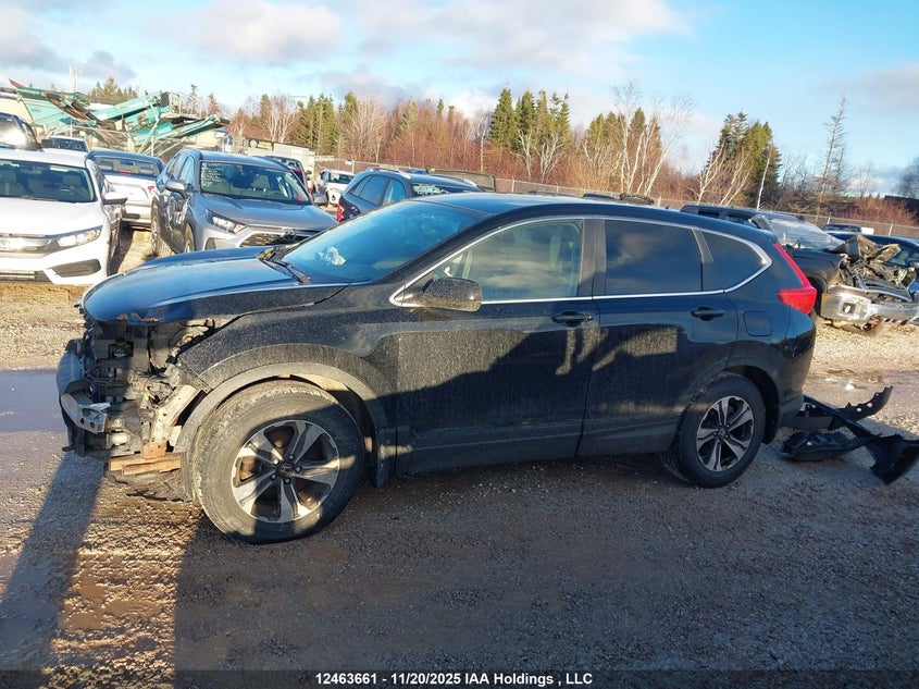 2017 Honda Cr-V Lx VIN: 2HKRW2H29HH136438 Lot: 12463661