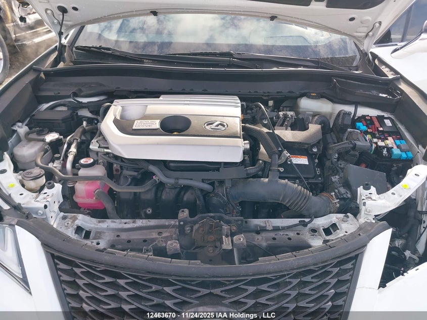 2020 Lexus Ux 250H VIN: JTHR9JBH6L2027023 Lot: 12463670