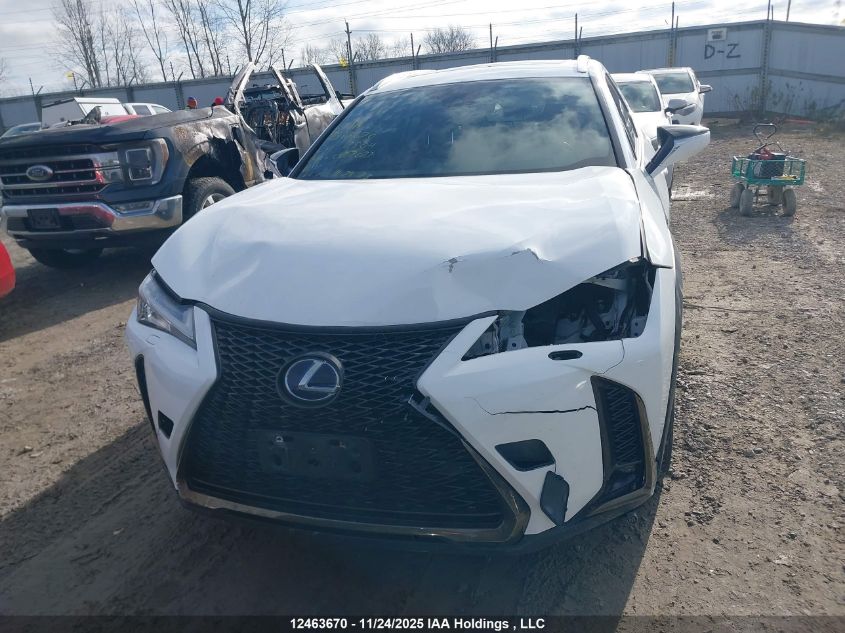 2020 Lexus Ux 250H VIN: JTHR9JBH6L2027023 Lot: 12463670