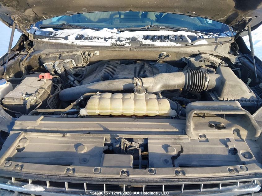 2020 Ford F-150 Xlt VIN: 1FTFW1E49LFB93096 Lot: 12463675