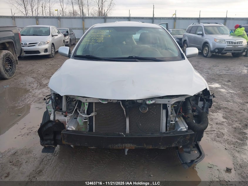 2010 Toyota Corolla Ce VIN: 2T1BU4EE5AC259423 Lot: 12463716