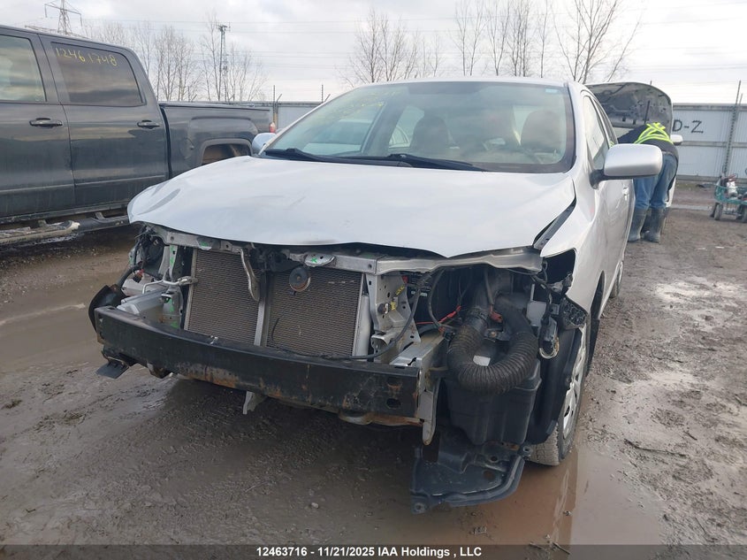 2010 Toyota Corolla Ce VIN: 2T1BU4EE5AC259423 Lot: 12463716