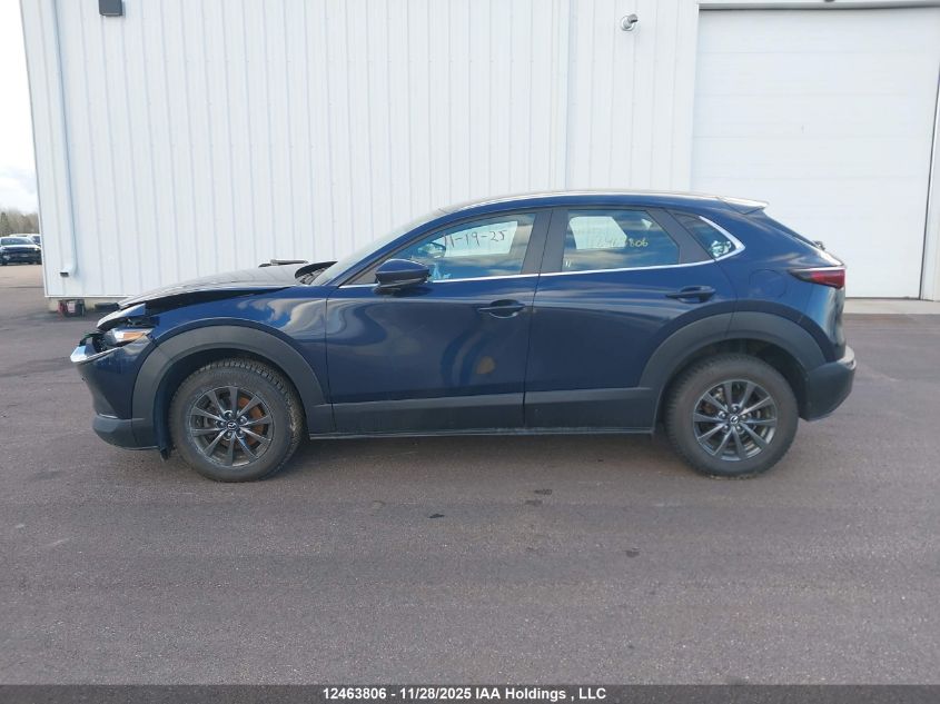 2021 Mazda Cx-30 Gx VIN: 3MVDMBB70MM259150 Lot: 12463806