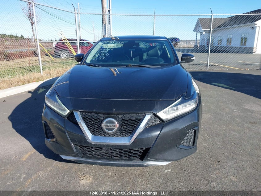 2020 Nissan Maxima Sl VIN: 1N4AA6DV4LC379846 Lot: 12463818