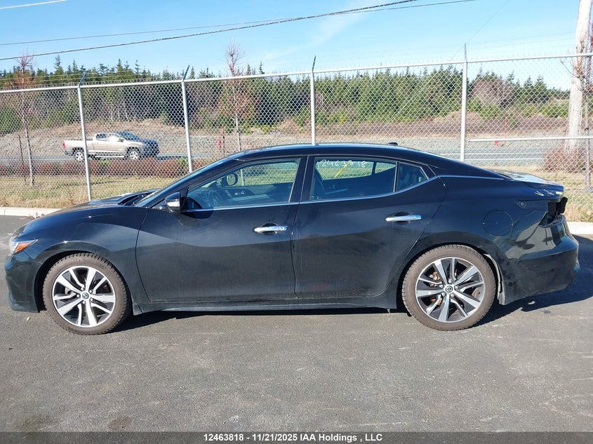 2020 Nissan Maxima Sl VIN: 1N4AA6DV4LC379846 Lot: 12463818