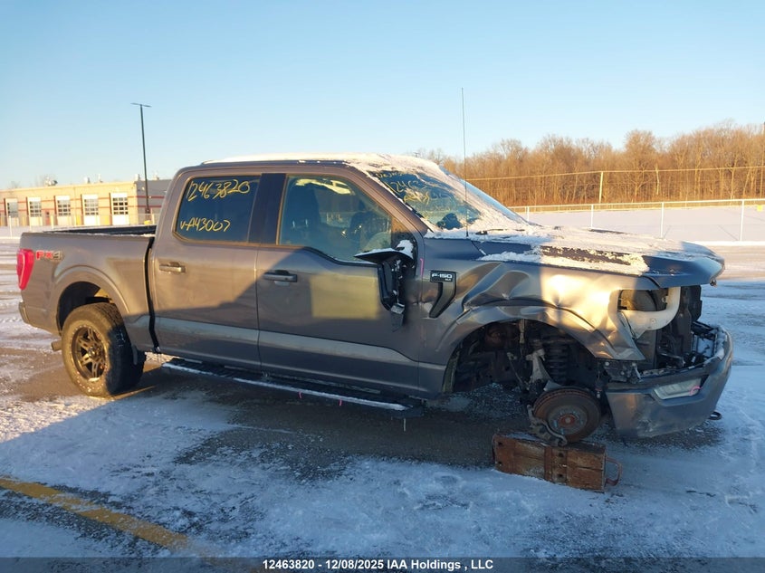 1FTEW1EP3MFA43007 2021 FORD F-150 photo no. 14