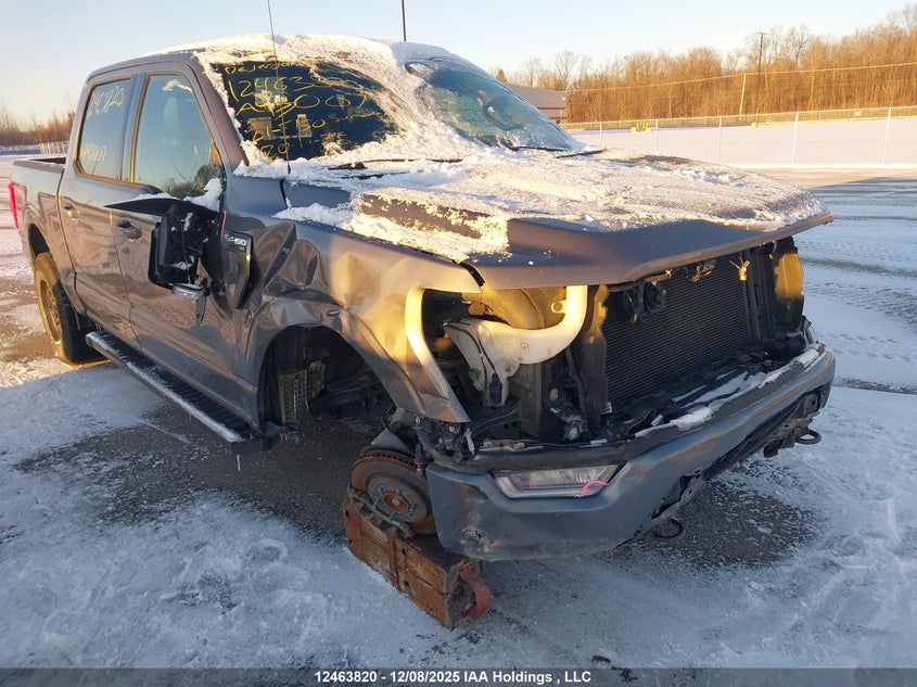 1FTEW1EP3MFA43007 2021 FORD F-150 photo no. 6