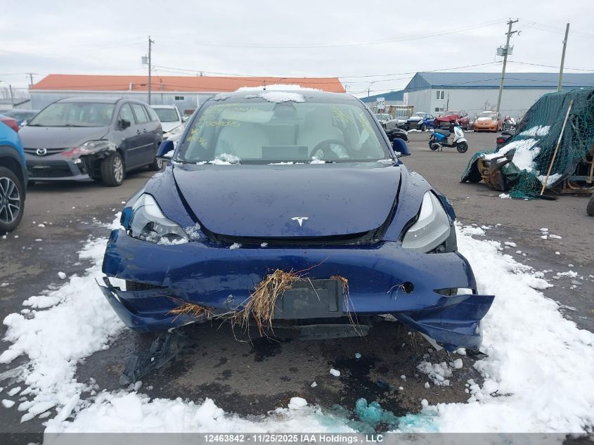 2023 Tesla Model 3 VIN: 5YJ3E1EC5PF559045 Lot: 12463842