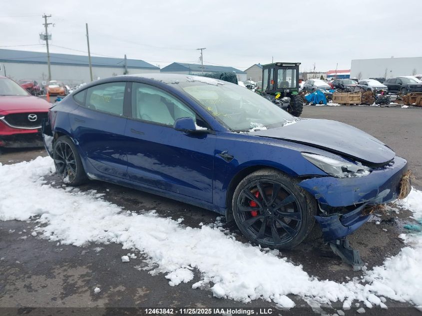 2023 Tesla Model 3 VIN: 5YJ3E1EC5PF559045 Lot: 12463842