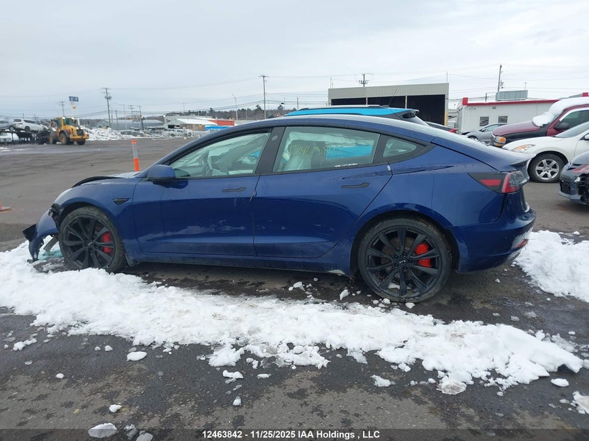 2023 Tesla Model 3 VIN: 5YJ3E1EC5PF559045 Lot: 12463842