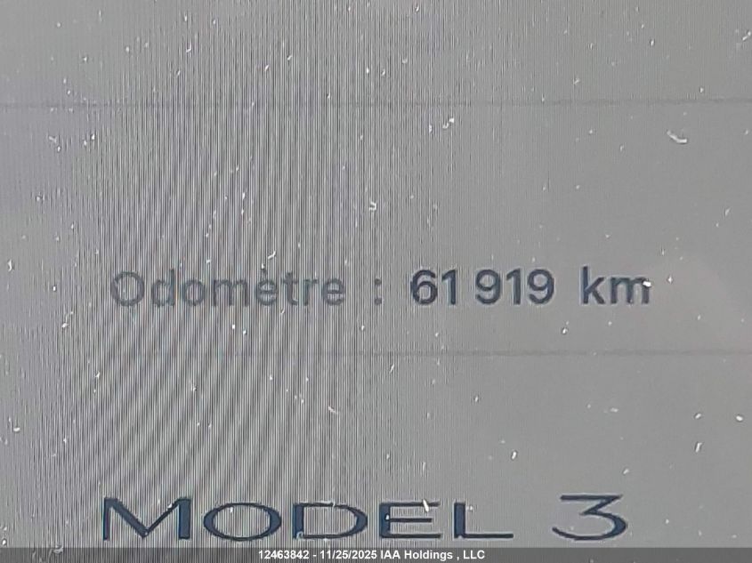 2023 Tesla Model 3 VIN: 5YJ3E1EC5PF559045 Lot: 12463842