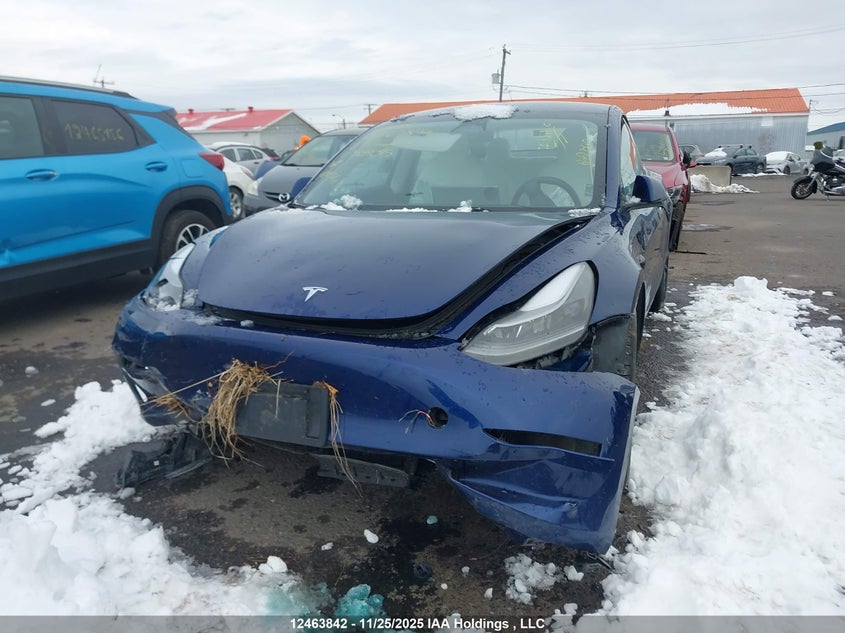 2023 Tesla Model 3 VIN: 5YJ3E1EC5PF559045 Lot: 12463842