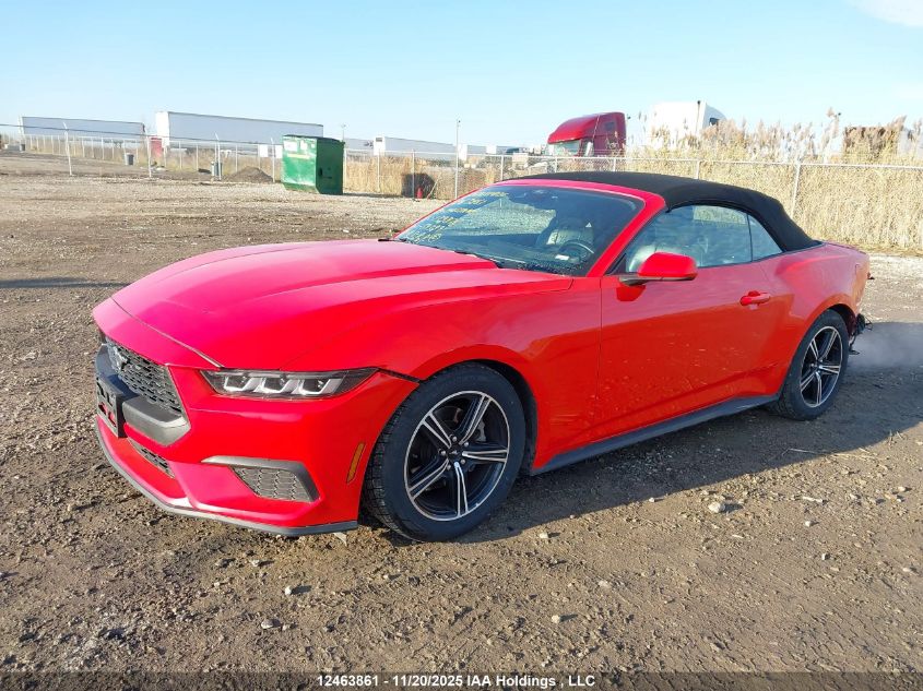 2024 Ford Mustang VIN: 1FAGP8UH1R5132876 Lot: 12463861