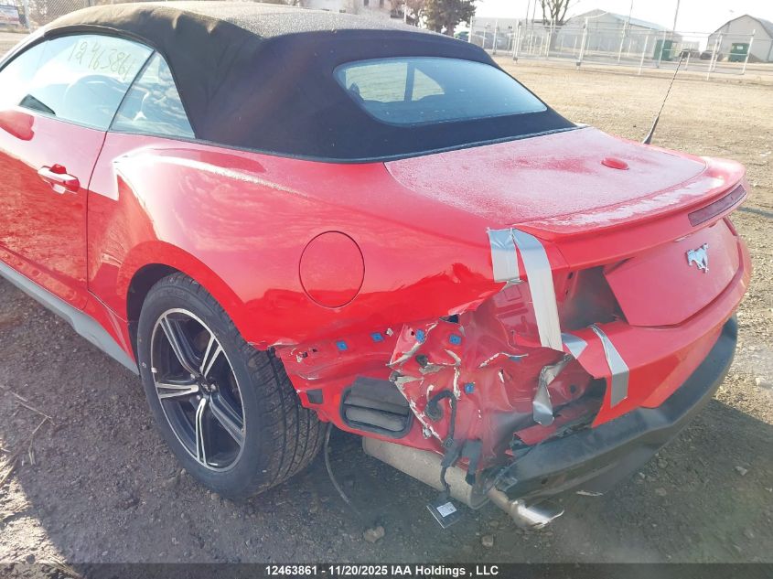 2024 Ford Mustang VIN: 1FAGP8UH1R5132876 Lot: 12463861