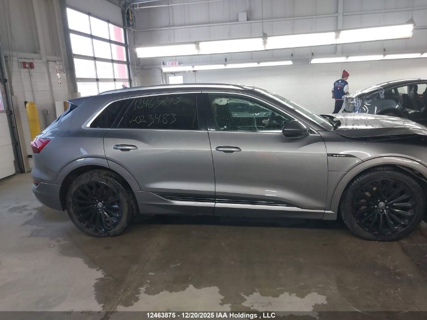 2019 Audi E-Tron Progressiv VIN: WA1AAAGE2KB023483 Lot: 12463875