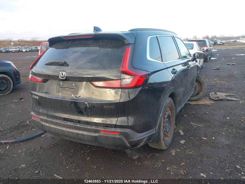 2HKRS4H50RH112175 2024 HONDA CR-V photo no. 4