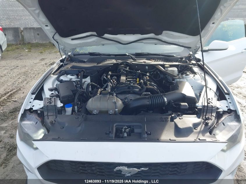 2023 Ford Mustang VIN: 1FATP8UH7P5104706 Lot: 12463893