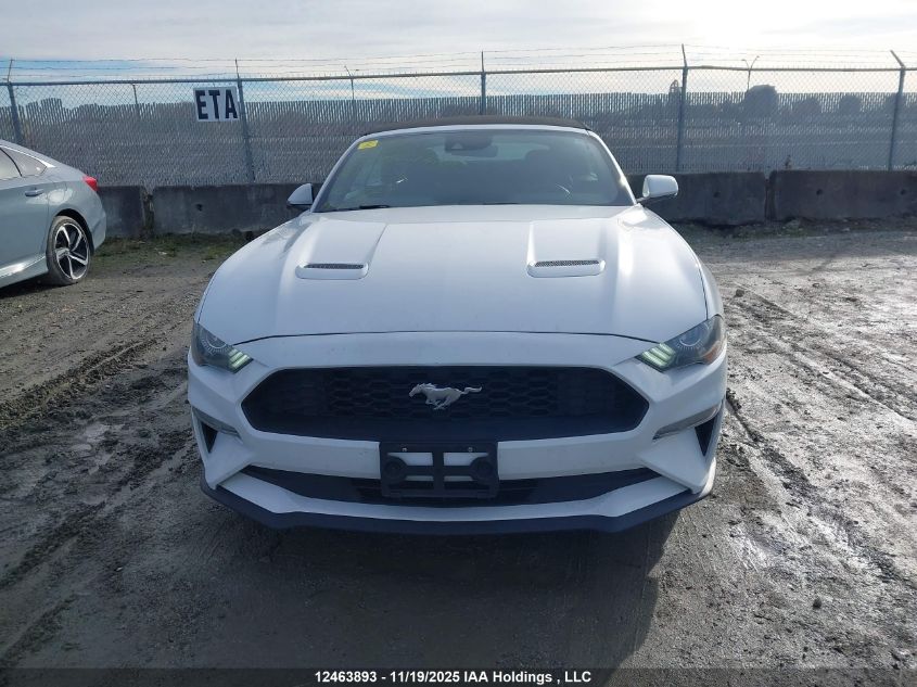 2023 Ford Mustang VIN: 1FATP8UH7P5104706 Lot: 12463893