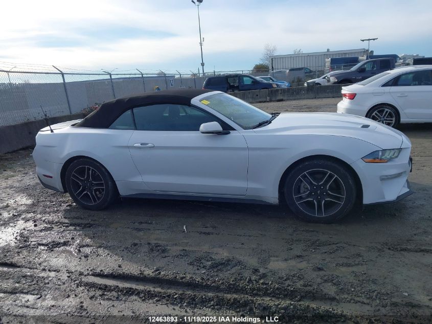 2023 Ford Mustang VIN: 1FATP8UH7P5104706 Lot: 12463893