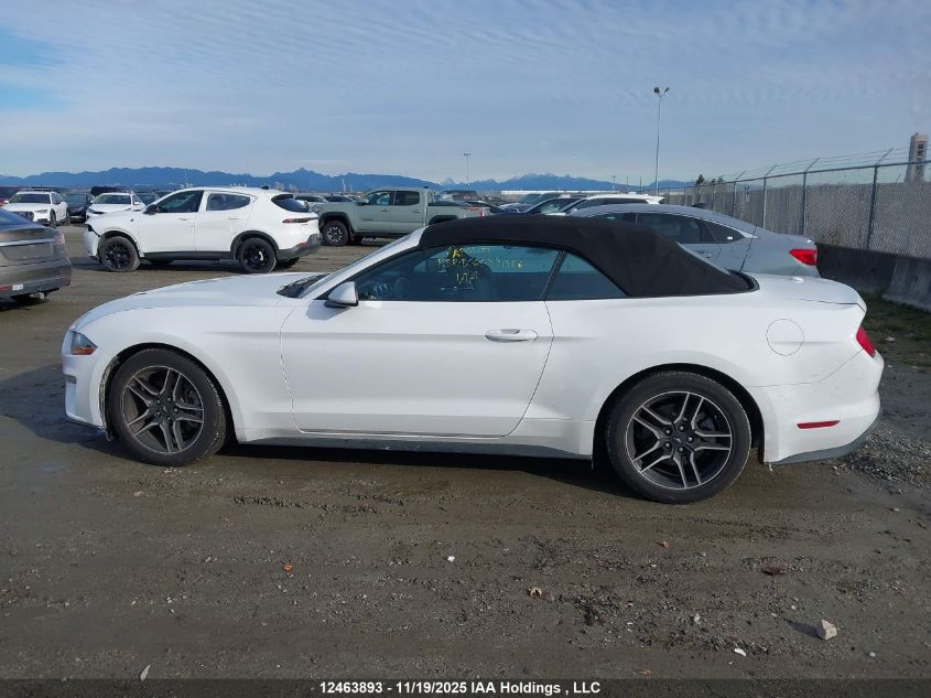 2023 Ford Mustang VIN: 1FATP8UH7P5104706 Lot: 12463893