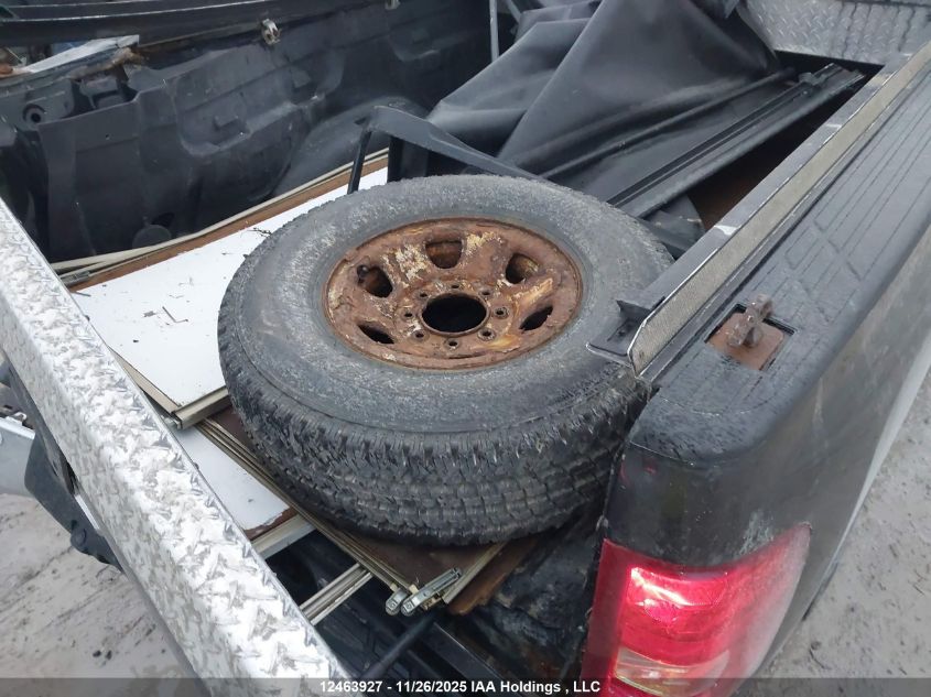 2009 Chevrolet Silverado K2500 Heavy Duty VIN: 1GCHK49659E157972 Lot: 12463927