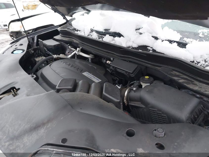 2019 Honda Pilot Touring VIN: 5FNYF6H6XKB508879 Lot: 12464188