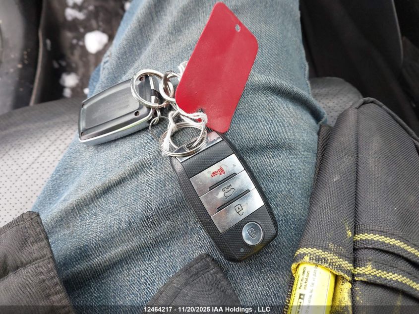 2016 Kia Sorento 3.3L Ex/3.3L Ex+ VIN: 5XYPHDA55GG111625 Lot: 12464217