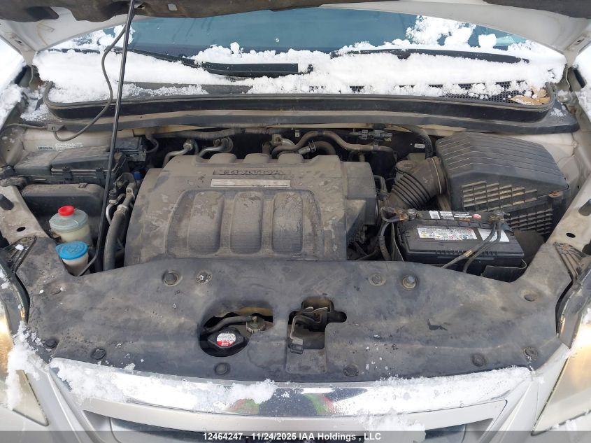 2006 Honda Odyssey Ex-L VIN: 5FNRL387X6B509640 Lot: 12464247