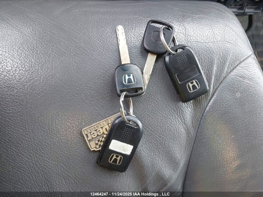 2006 Honda Odyssey Ex-L VIN: 5FNRL387X6B509640 Lot: 12464247