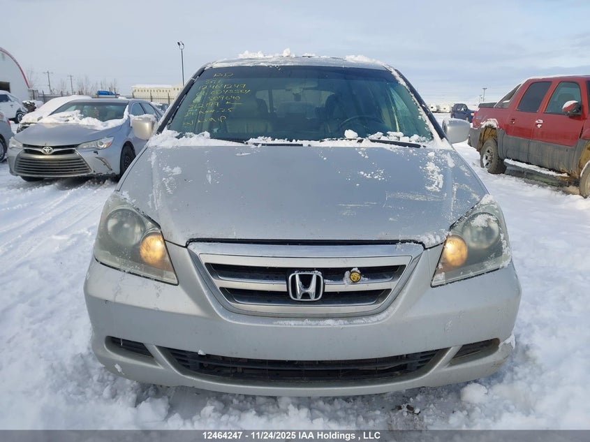 2006 Honda Odyssey Ex-L VIN: 5FNRL387X6B509640 Lot: 12464247