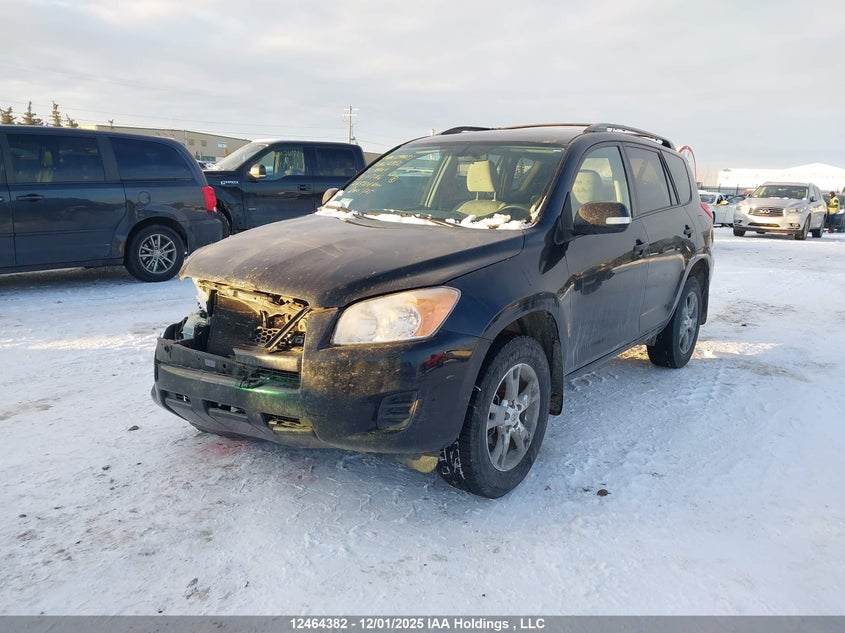 2T3JK4DV1AW017186 2010 TOYOTA RAV 4 photo no. 2