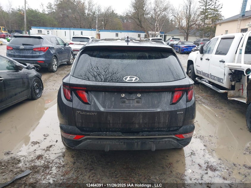 2022 Hyundai Tucson Preferred Awd VIN: KM8JBCAEXNU049325 Lot: 12464391