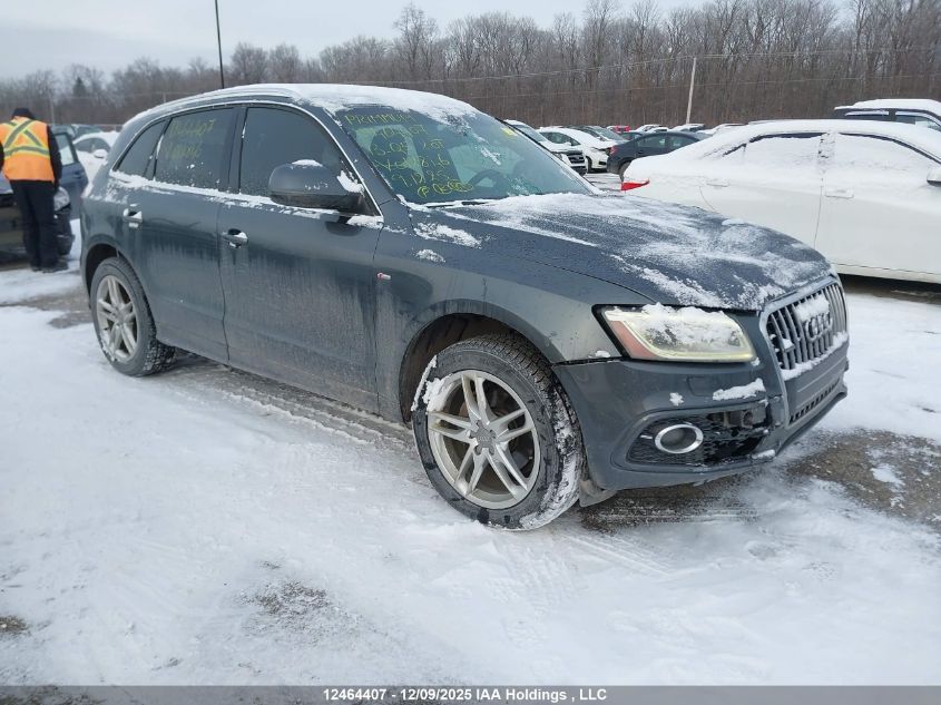 2013 Audi Q5 2.0T Premium VIN: WA1MFCFP4DA012846 Lot: 12464407