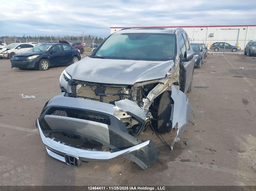 2019 Honda Pilot Ex-L Navi VIN: 5FNYF6H79KB505397 Lot: 12464411